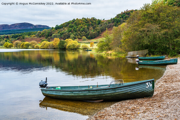 Beached boats on Lake of Menteith Picture Board by Angus McComiskey