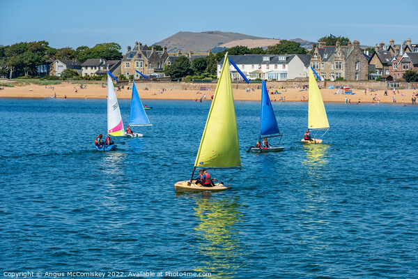 Dinghy sailing in Elie harbour, East Neuk of Fife Picture Board by Angus McComiskey