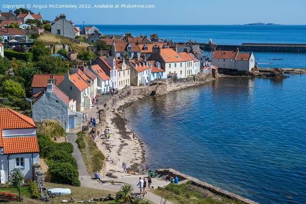 Colourful seafront houses in Pittenweem Picture Board by Angus McComiskey