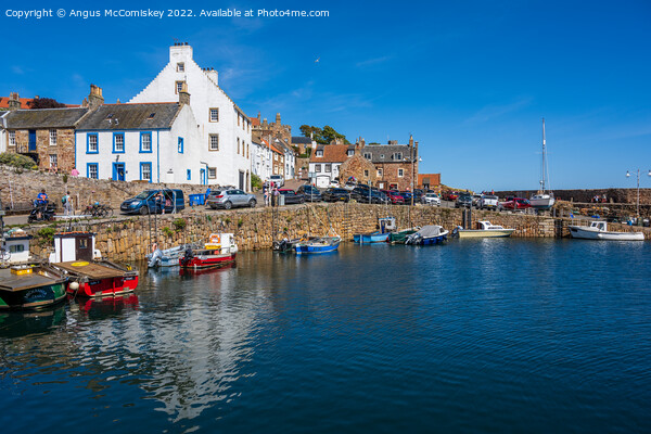 Boats in Crail harbour East Neuk of Fife Picture Board by Angus McComiskey