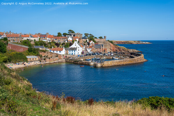 Crail harbour and beach in East Neuk of Fife Picture Board by Angus McComiskey