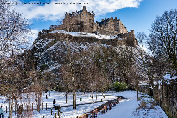 Edinburgh Castle from Princes Street Gardens snow Picture Board by Angus McComiskey