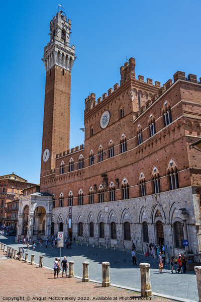 Torr del Mangia and Palazzo Pubblico Siena Tuscany Picture Board by Angus McComiskey