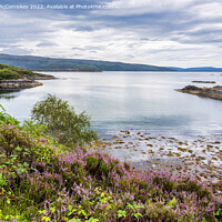 Buy canvas prints of Loch Sunart, Ardnamurchan Peninsula by Angus McComiskey