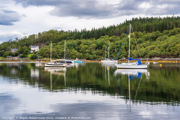 Yachts moored at Salen Jetty, Ardnamurchan Picture Board by Angus McComiskey