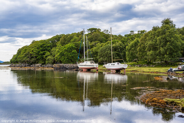 Yachts at Samalaman Bay, Ardnamurchan Picture Board by Angus McComiskey