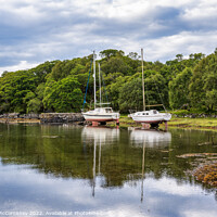 Buy canvas prints of Yachts at Samalaman Bay, Ardnamurchan by Angus McComiskey