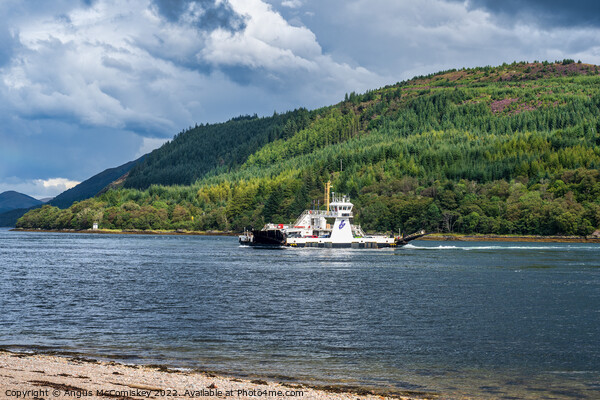 Corran Ferry on Loch Linnhe, Scottish Highlands Picture Board by Angus McComiskey