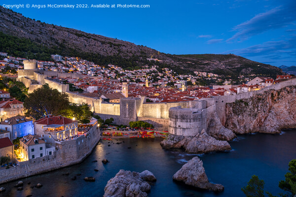 Old walled city of Dubrovnik at dusk, Croatia Picture Board by Angus McComiskey