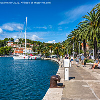 Buy canvas prints of Palm-lined promenade at Cavtat in Croatia by Angus McComiskey