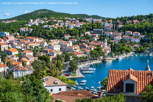 Looking down on Cavtat harbour in Croatia Picture Board by Angus McComiskey