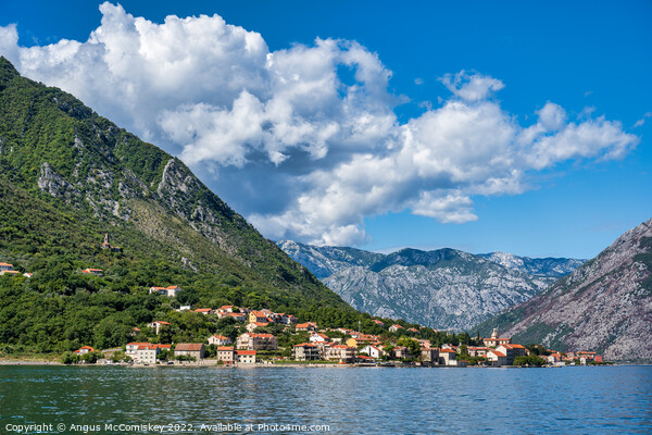 Small town of Prcanj on Bay of Kotor in Montenegro Picture Board by Angus McComiskey