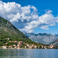 Buy canvas prints of Small town of Prcanj on Bay of Kotor in Montenegro by Angus McComiskey
