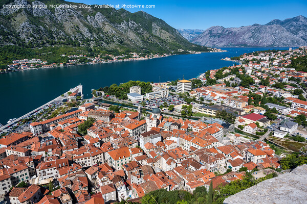 Aerial view of Kotor on Bay of Kotor in Montenegro Picture Board by Angus McComiskey