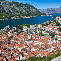 Buy canvas prints of Aerial view of Kotor on Bay of Kotor in Montenegro by Angus McComiskey