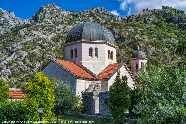 Dome of Saint Nicholas Church in Kotor, Montenegro Picture Board by Angus McComiskey