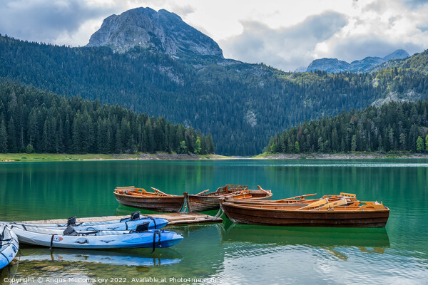 Rowing boats on the Black Lake in Montenegro #2 Picture Board by Angus McComiskey