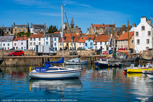 Colourful Boats in St Monans harbour Picture Board by Angus McComiskey