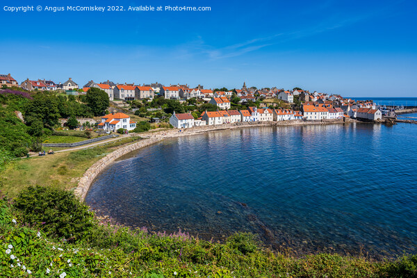 Pittenweem seafront in East Neuk of Fife Picture Board by Angus McComiskey