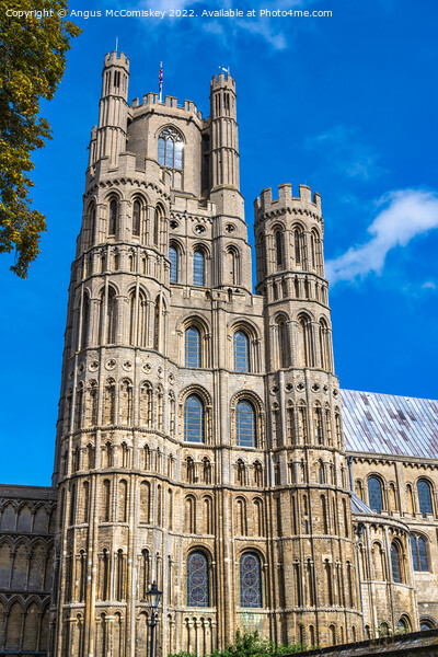 West tower, south elevation of Ely Cathedral Picture Board by Angus McComiskey