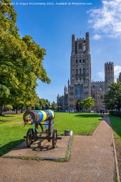 Crimean cannon at Ely Cathedral Picture Board by Angus McComiskey