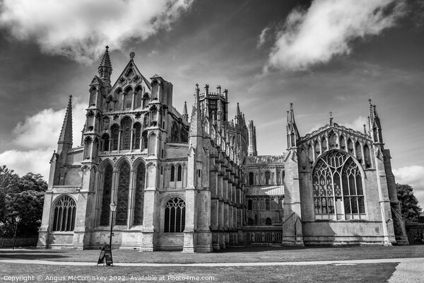 East elevation of Ely Cathedral mono Picture Board by Angus McComiskey