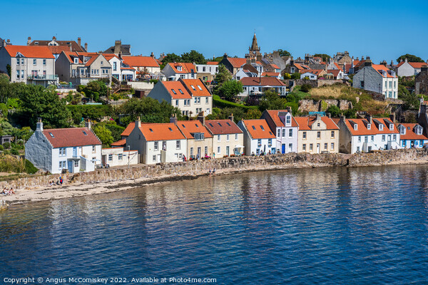 Seafront houses in Pittenweem in East Neuk of Fife Picture Board by Angus McComiskey