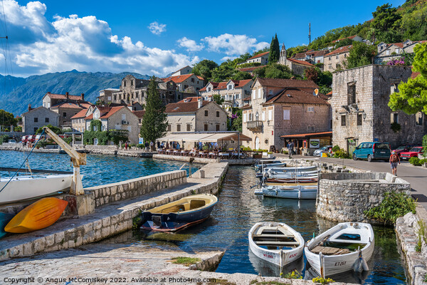 Sheltered harbour at Perast in Montenegro Picture Board by Angus McComiskey
