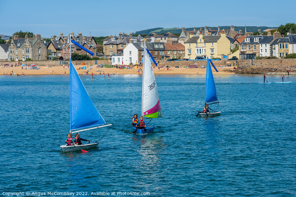 Dinghy sailing Elie harbour, East Neuk of Fife #2 Picture Board by Angus McComiskey