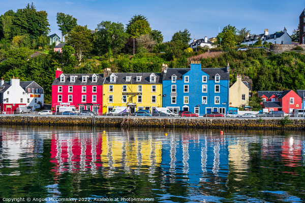 Mishnish Hotel on Main Street Tobermory waterfront Picture Board by Angus McComiskey