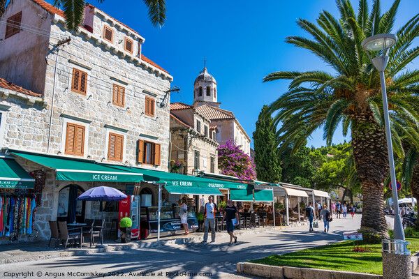 Main street of coastal town of Cavtat in Croatia Picture Board by Angus McComiskey