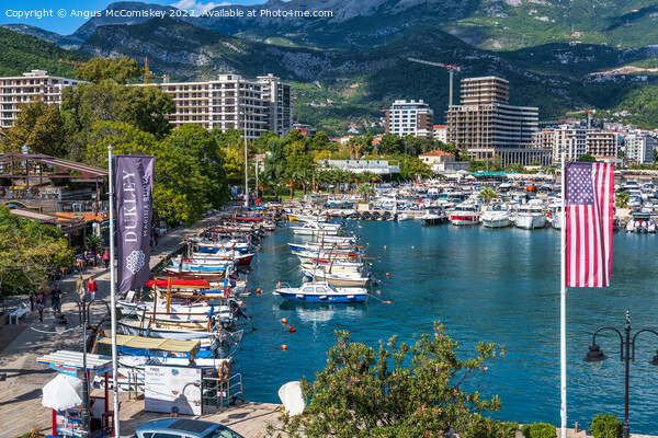 Dukley Marina Budva, Montenegro Picture Board by Angus McComiskey
