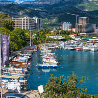 Buy canvas prints of Dukley Marina Budva, Montenegro by Angus McComiskey