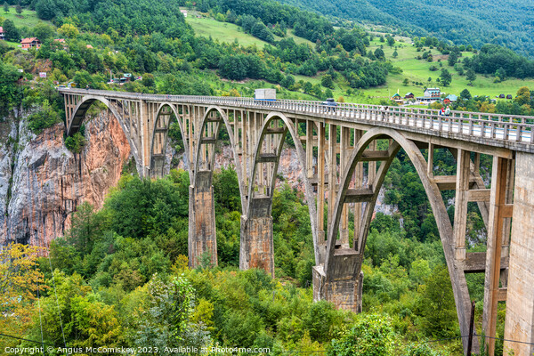 Durdevića Tara Bridge, Montenegro Picture Board by Angus McComiskey