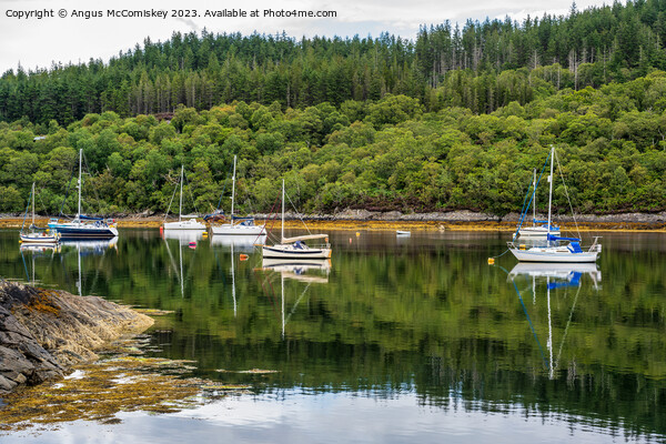 Moored yachts at Salen Jetty, Ardnamurchan Picture Board by Angus McComiskey