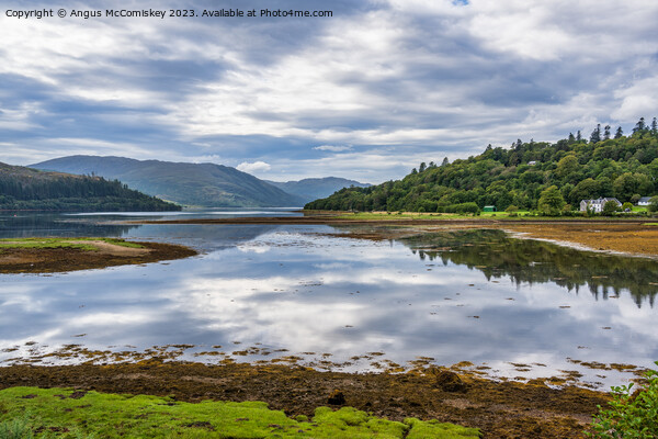 Loch Sunart on the Ardnamurchan Peninsula Picture Board by Angus McComiskey