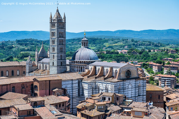 Aerial view of Duomo and Campanile, Siena, Tuscany Picture Board by Angus McComiskey