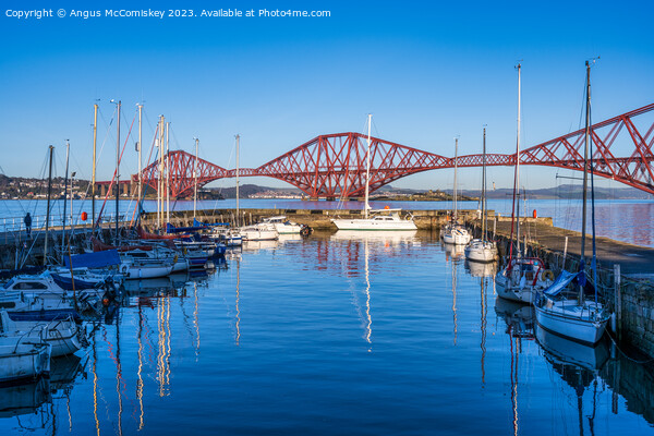 Yachts moored in South Queensferry harbour Picture Board by Angus McComiskey
