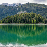 Buy canvas prints of Reflections in The Black Lake, Montenegro by Angus McComiskey