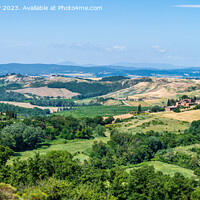 Buy canvas prints of Tuscan landscape in the Crete Senesi by Angus McComiskey