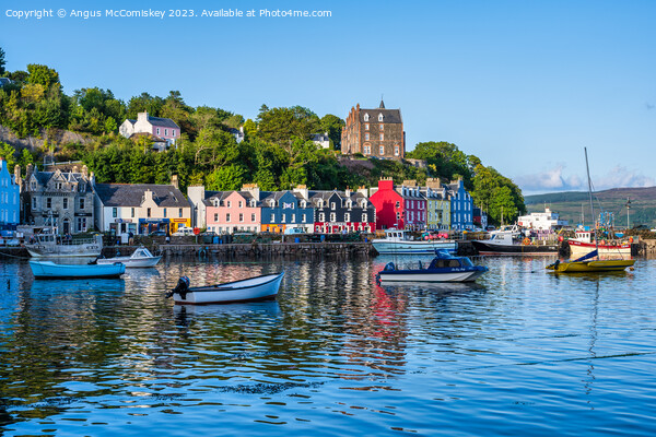 Boats in the harbour, Tobermory waterfront Picture Board by Angus McComiskey