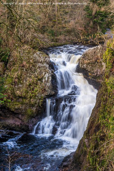 Reekie Linn waterfall on River Isla in Scotland Canvas Print by Angus McComiskey