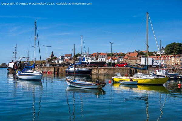 Colourful Boats moored in St Monans harbour Picture Board by Angus McComiskey