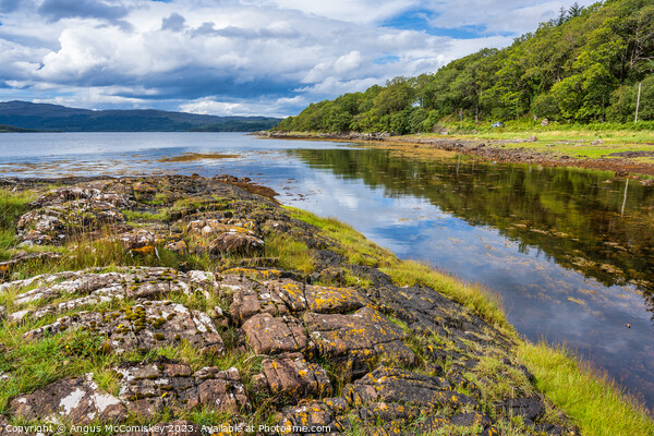 Carnoch River and Loch Sunart, Ardnamurchan Picture Board by Angus McComiskey