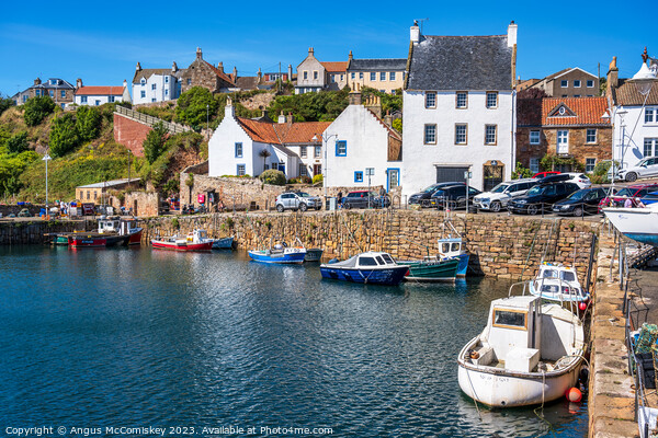 Fishing boats in Crail harbour, East Neuk of Fife Picture Board by Angus McComiskey