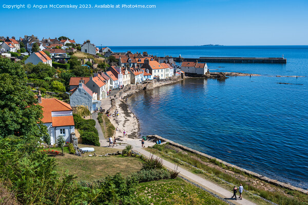 Seafront houses in Pittenweem in East Neuk of Fife Picture Board by Angus McComiskey