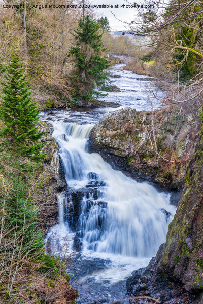 Reekie Linn waterfall on River Isla Scotland Picture Board by Angus McComiskey