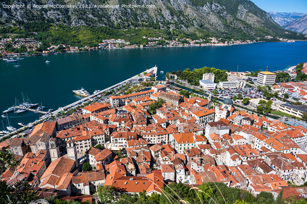 Kotor old town on the Bay of Kotor in Montenegro Picture Board by Angus McComiskey