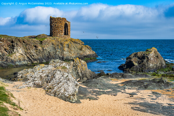 Lady’s Tower on the Fife Coastal Path near Elie Picture Board by Angus McComiskey
