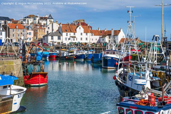 Fishing fleet tied up in Pittenweem harbour Picture Board by Angus McComiskey